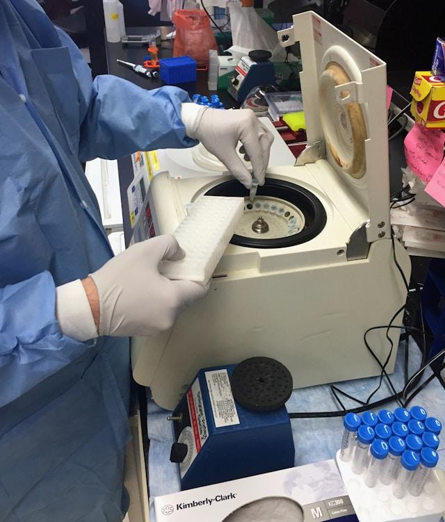 Fertility & IVF Support