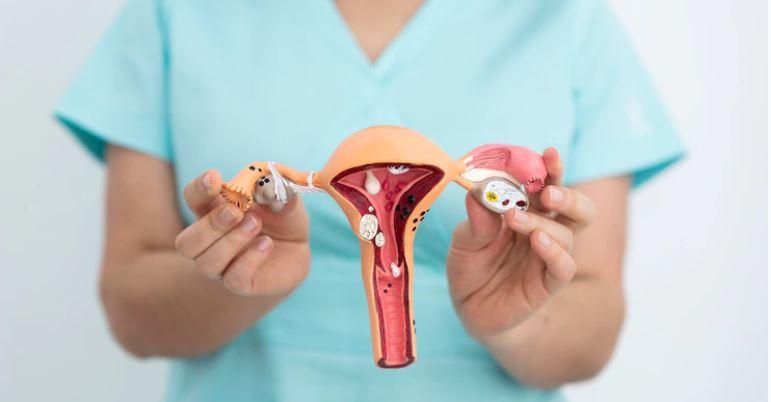 Urogynecology & Pelvic Floor Medicine